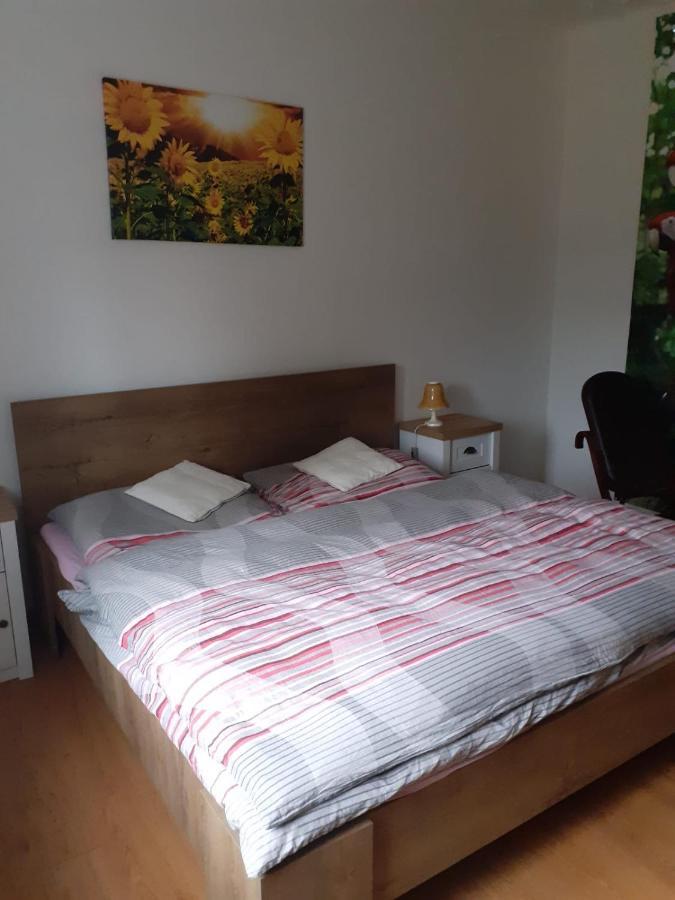 Apartman Ema Sloup  外观 照片